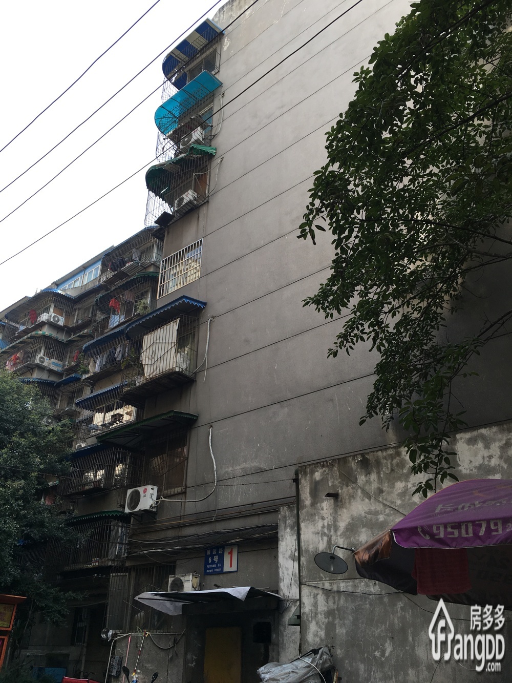 圃园路6号院小区图片