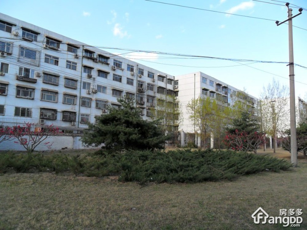 厂洼街23号院小区图片