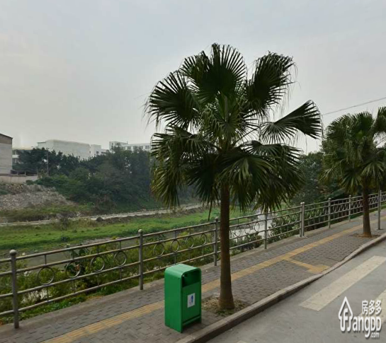 杏苑新村小区图片