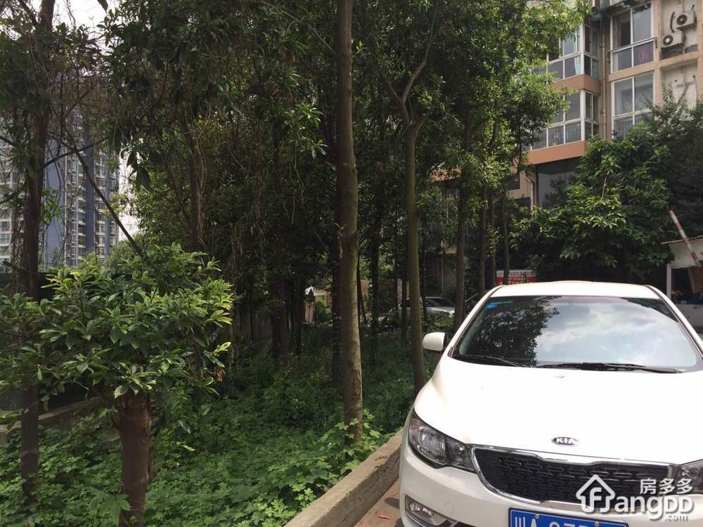 新天美地小区图片