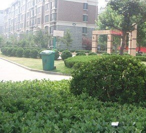 南洋馨苑小区图片