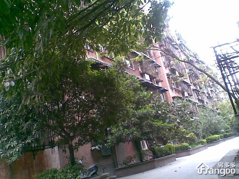 东风路小区图片