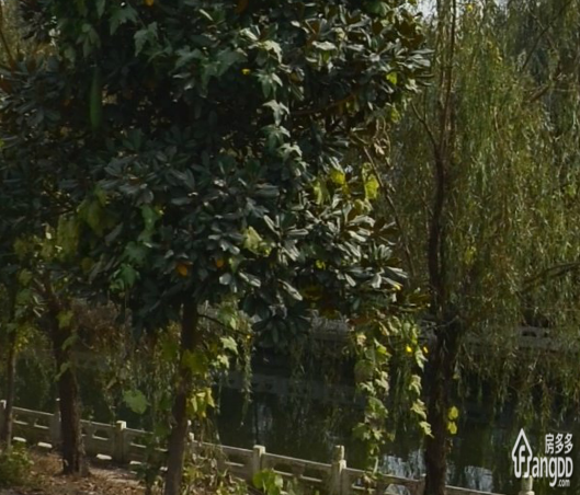 东城国际小区图片