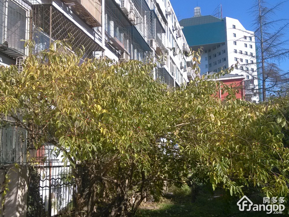 裕民路3号院小区图片