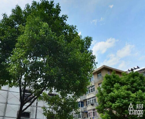 沂河实验学校南小区小区图片