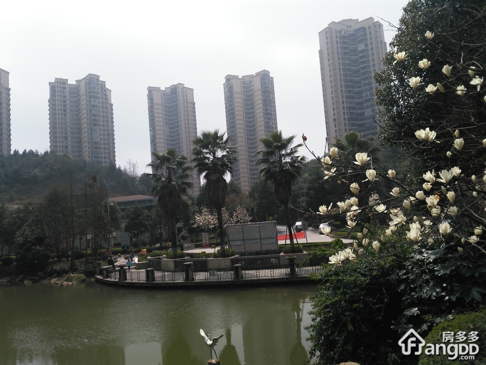 保利麓谷林语G区小区图片