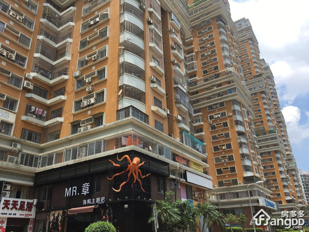 莲花广场小区图片