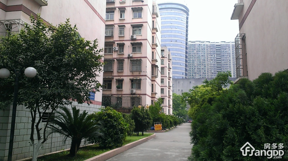 晚报宿舍小区图片
