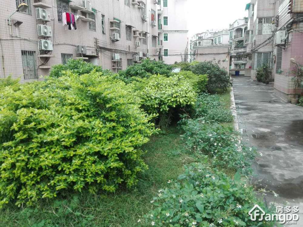 流行前线F座小区图片