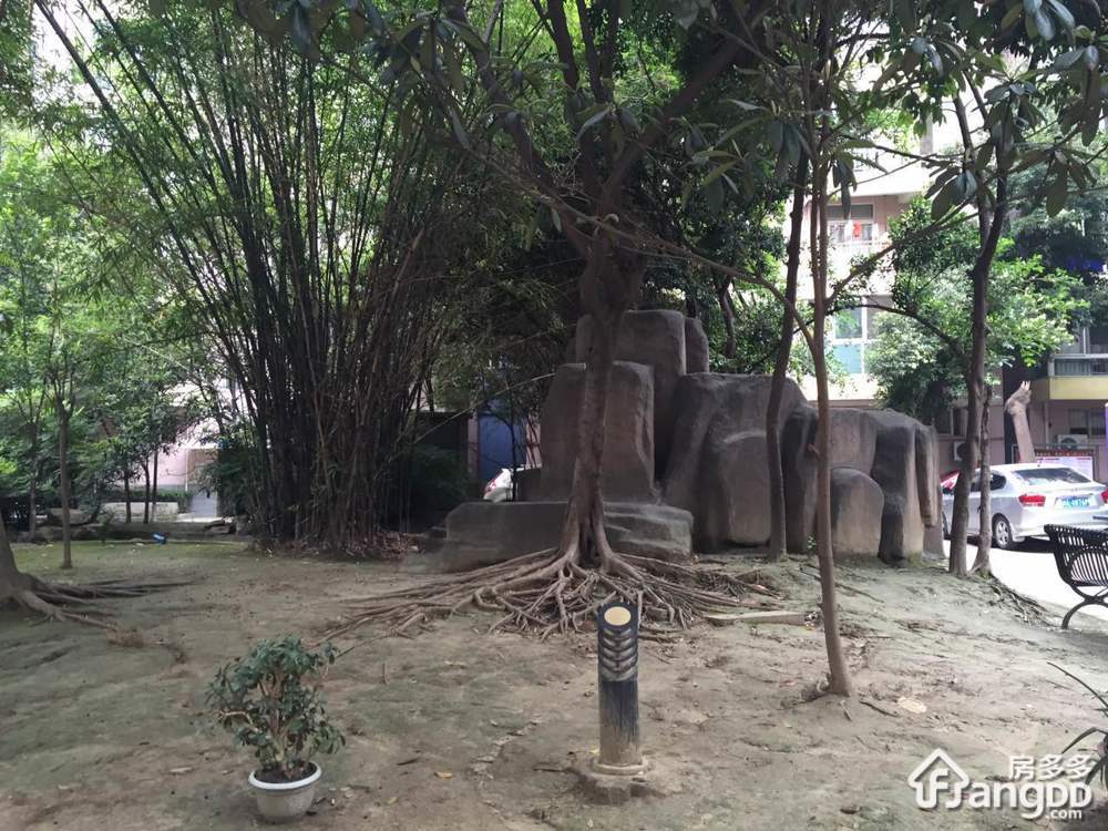 阳光花园(武侯)小区图片