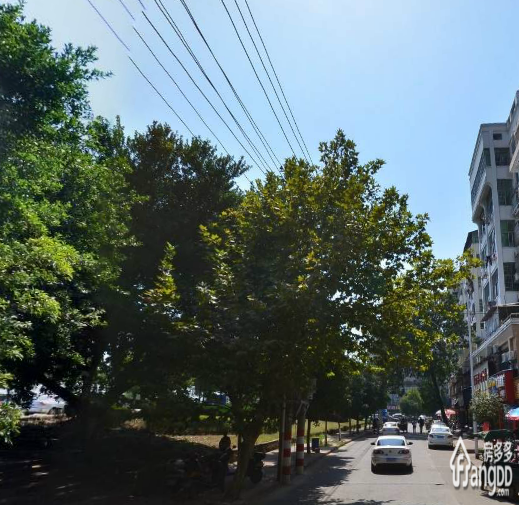 湖滨花苑小区图片