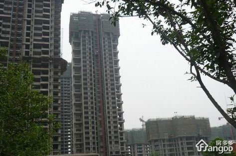 建业世纪华阳小区图片