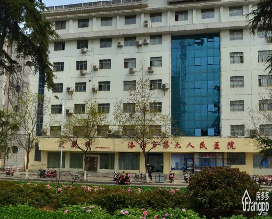洛轴二十九街坊小区图片