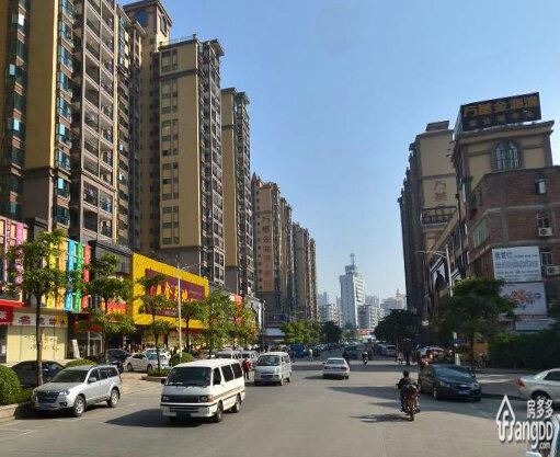 清城-信和城中绿洲小区图片
