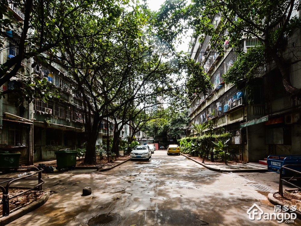 八卦岭宿舍小区图片
