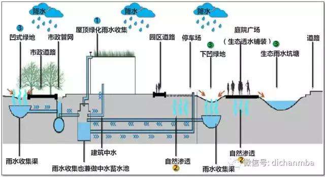 通过植物,沙土的综合作用使雨水得到净化,逐渐渗入土壤,涵养地下水,或