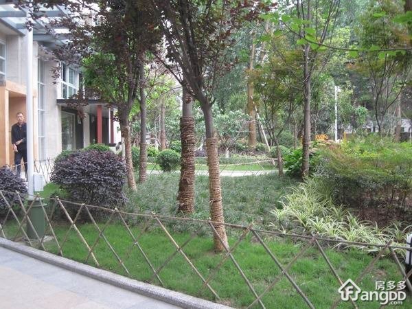 金房星座小区图片