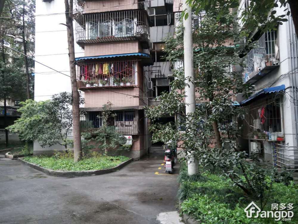 沙子堰东巷1号小区图片