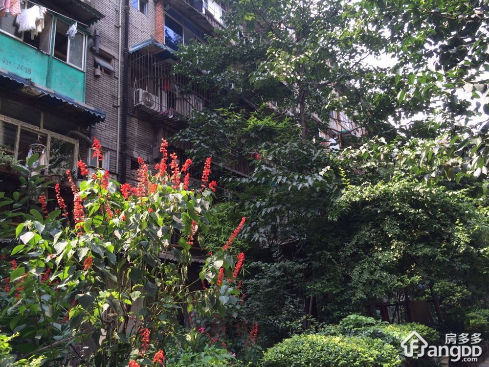 府青路二段18号小区图片