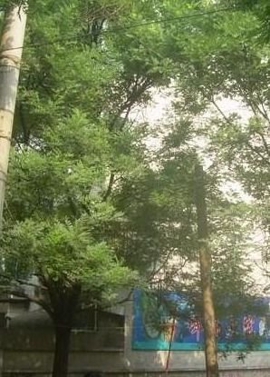 洪楼建筑宿舍小区图片