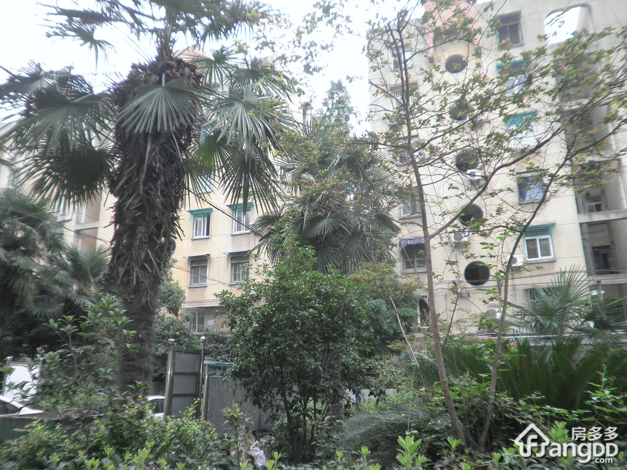 凤凰西街269-275号小区图片