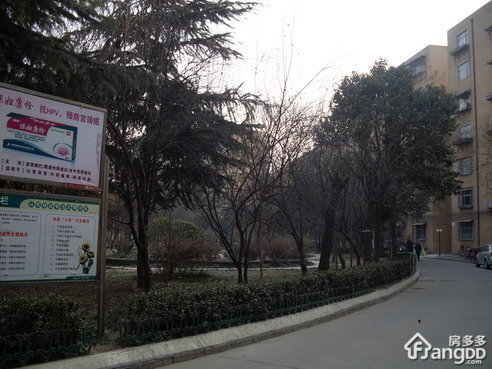 郑州欧丽公司家属院小区图片