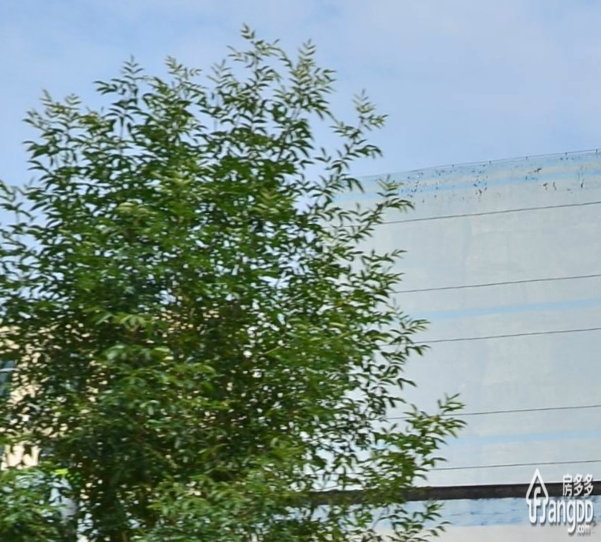 金大路宿舍小区图片