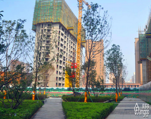 万科金域国际小区图片