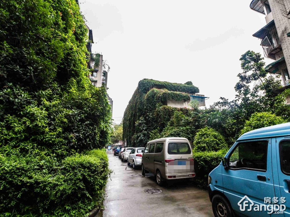 城北小区(金牛)小区图片