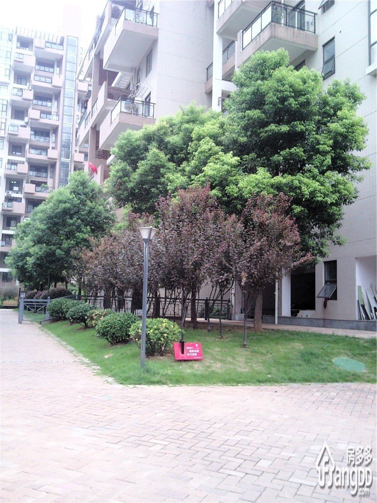 光谷坐标城小区图片