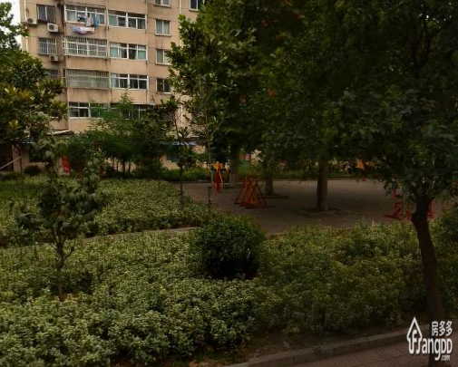安馨居（邹城）图片