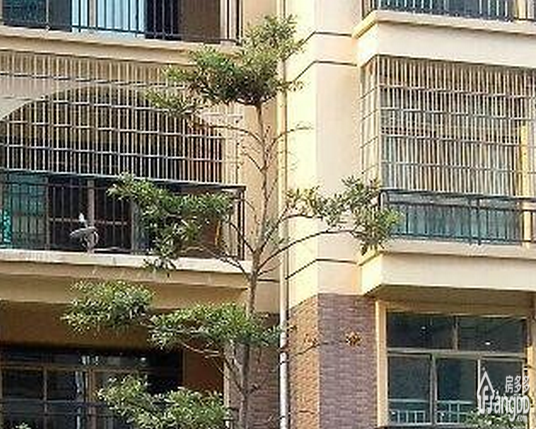 世纪名门小区图片