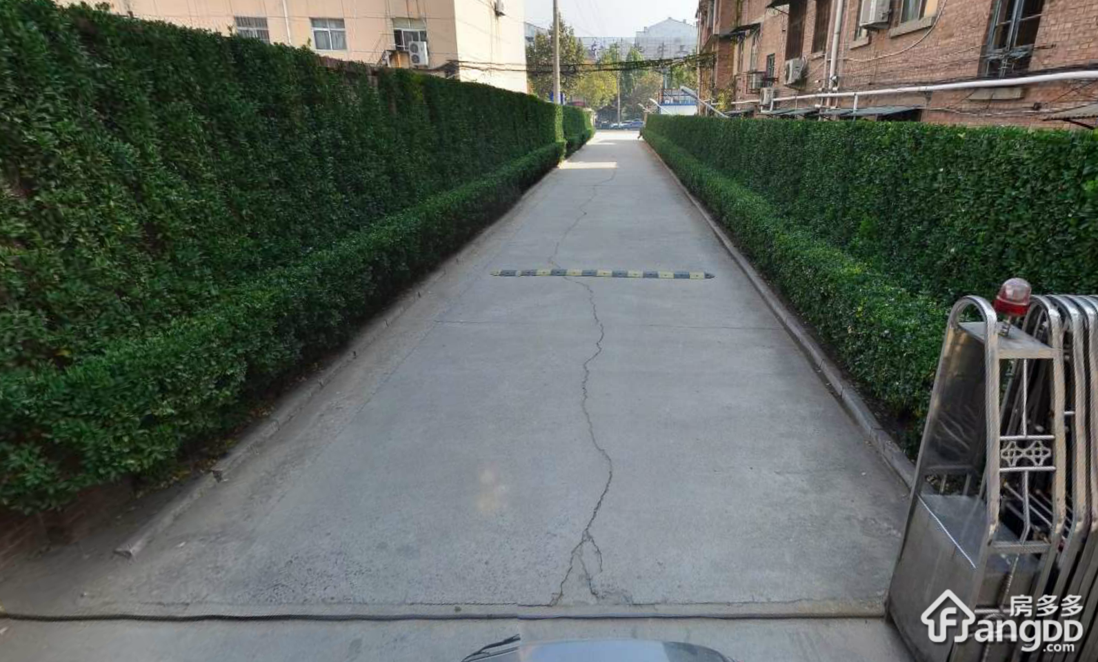 聊医花园图片