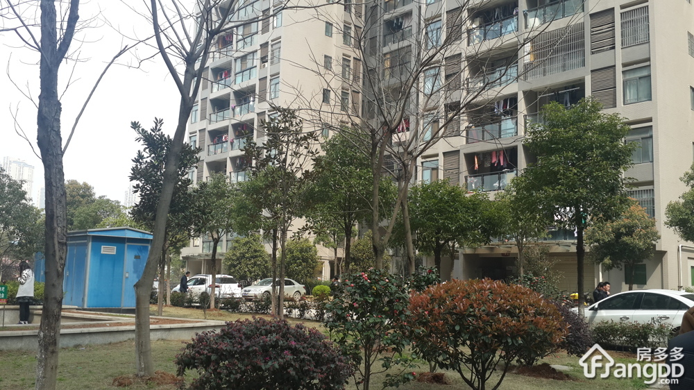 南湖新城家园小区图片