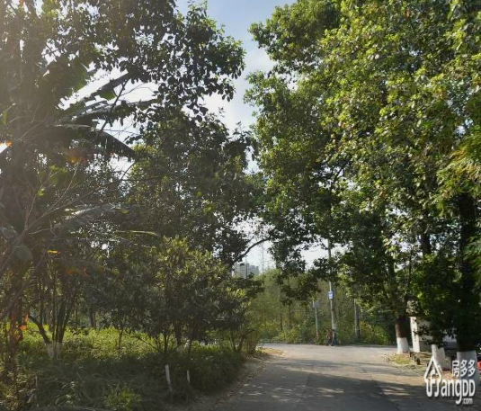 林科院宿舍小区图片