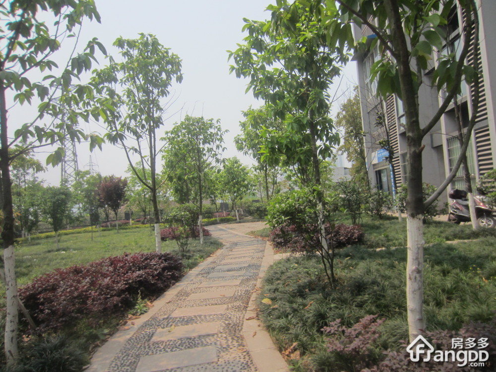 盘龙兴苑小区图片
