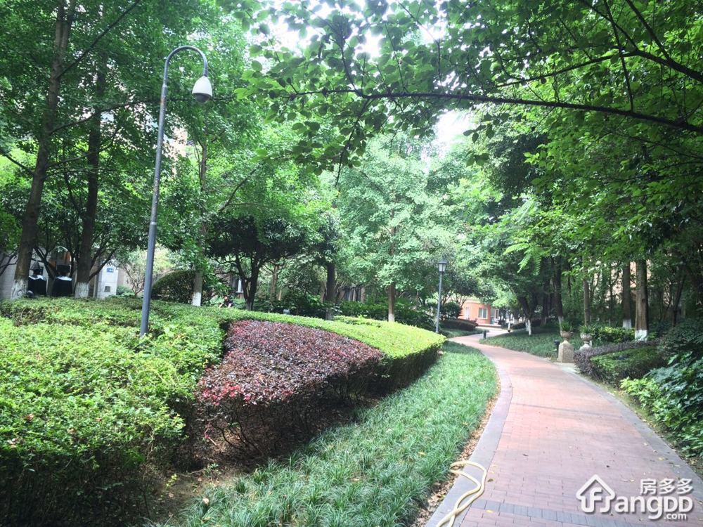 碧林小区图片
