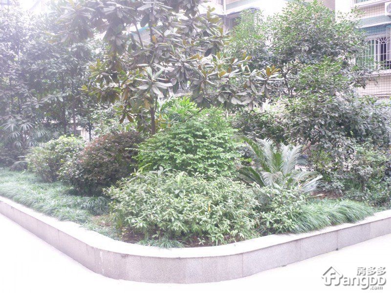 龙升街小区图片