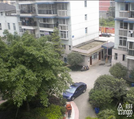 黄金小区小区图片