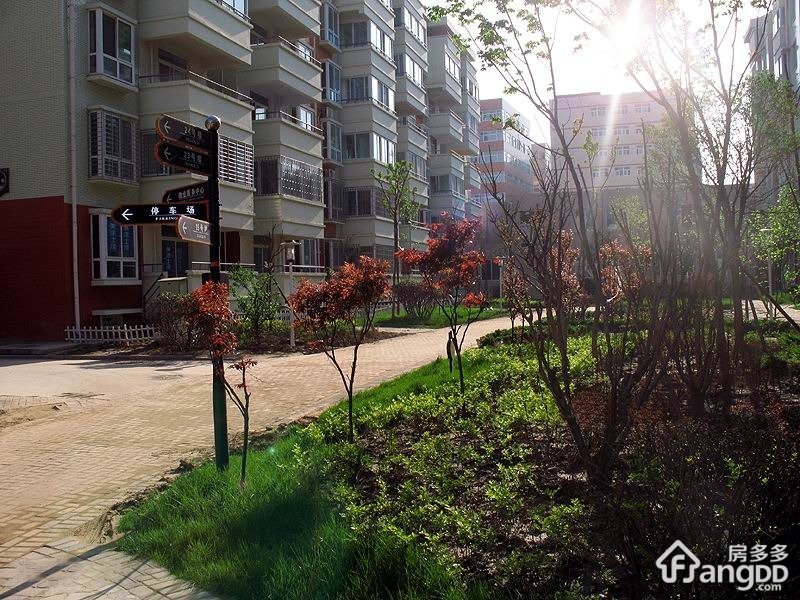 金印花苑小区图片