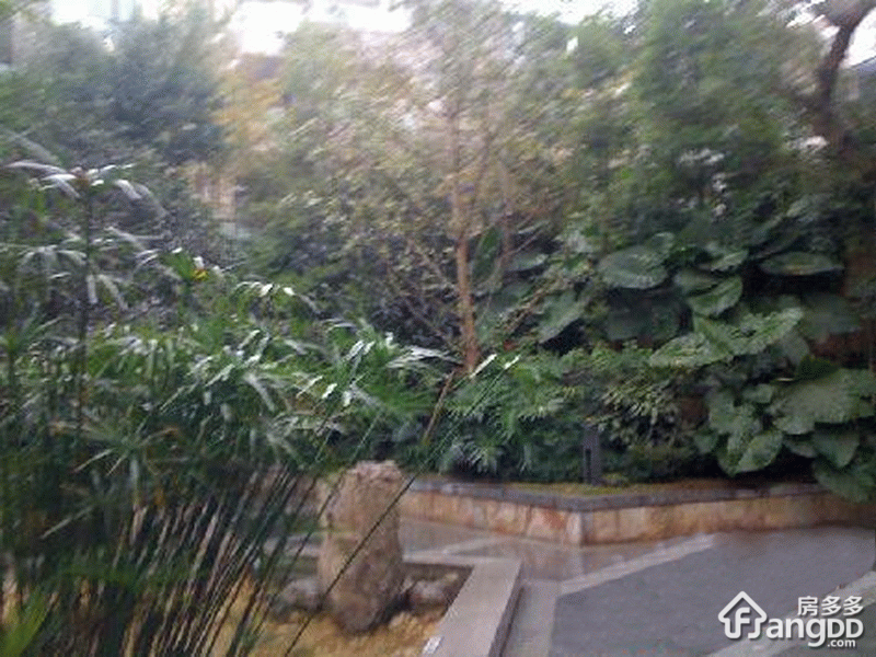 浣花里100号小区图片