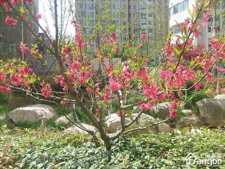 湖光山色小区图片