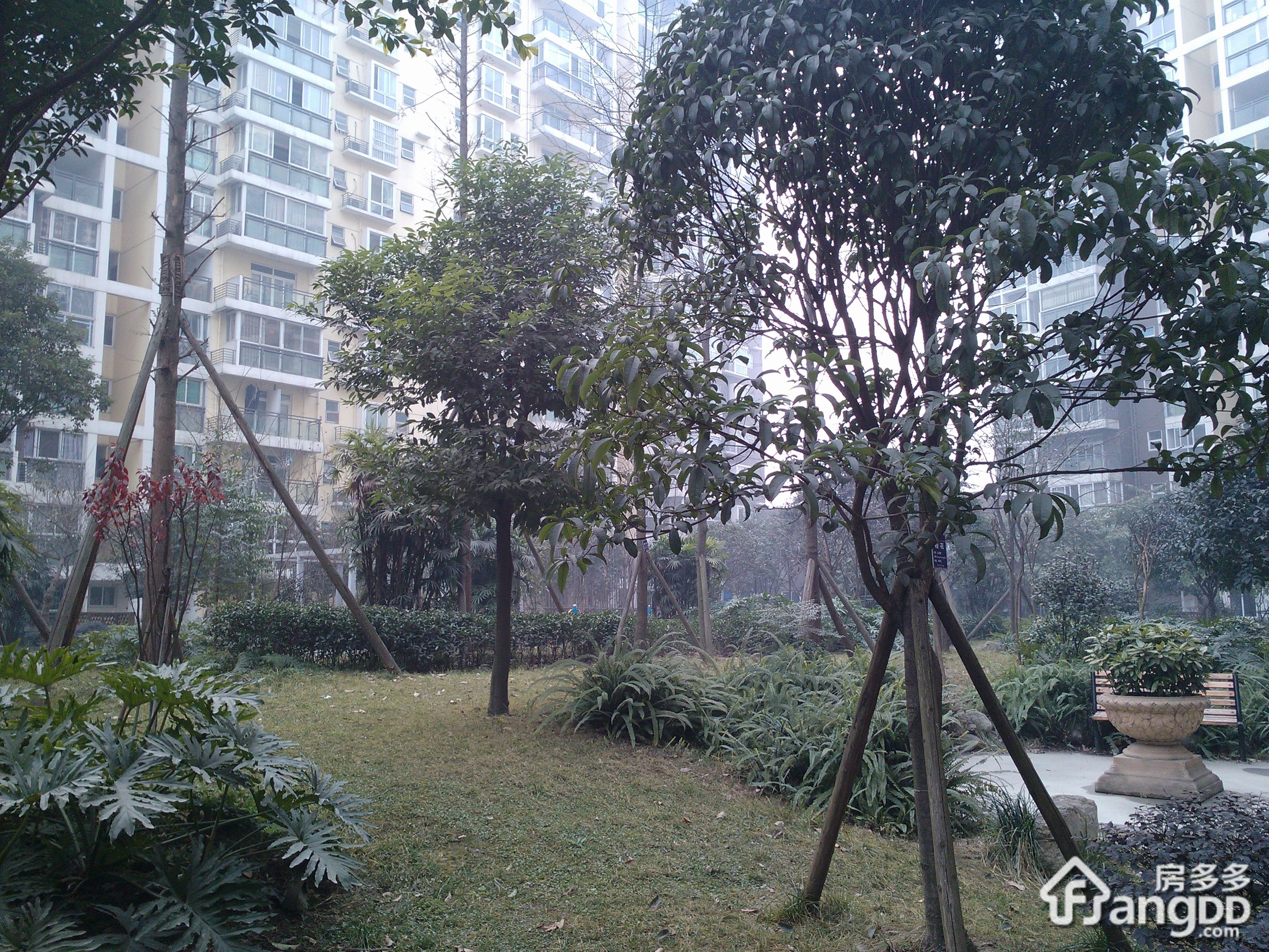 金牛花园小区图片