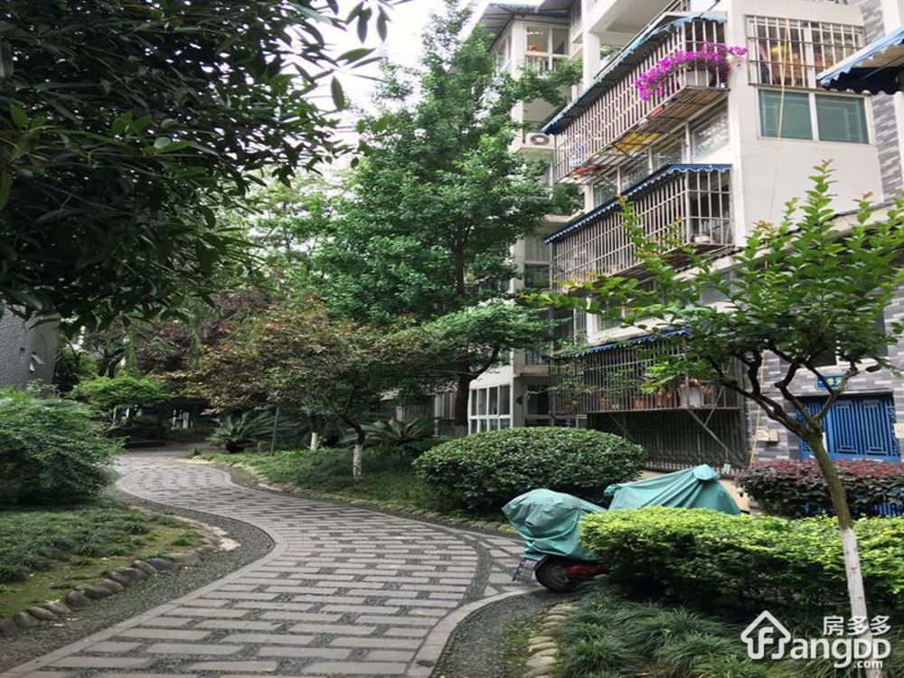 翠晨记小区图片