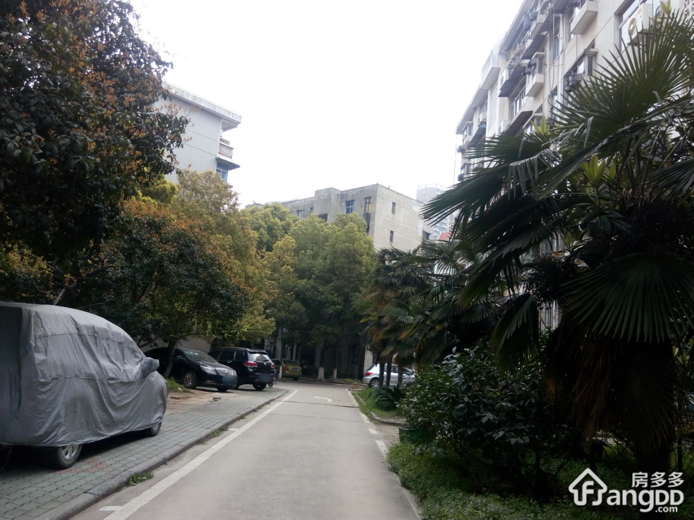 湖大友谊小区小区图片