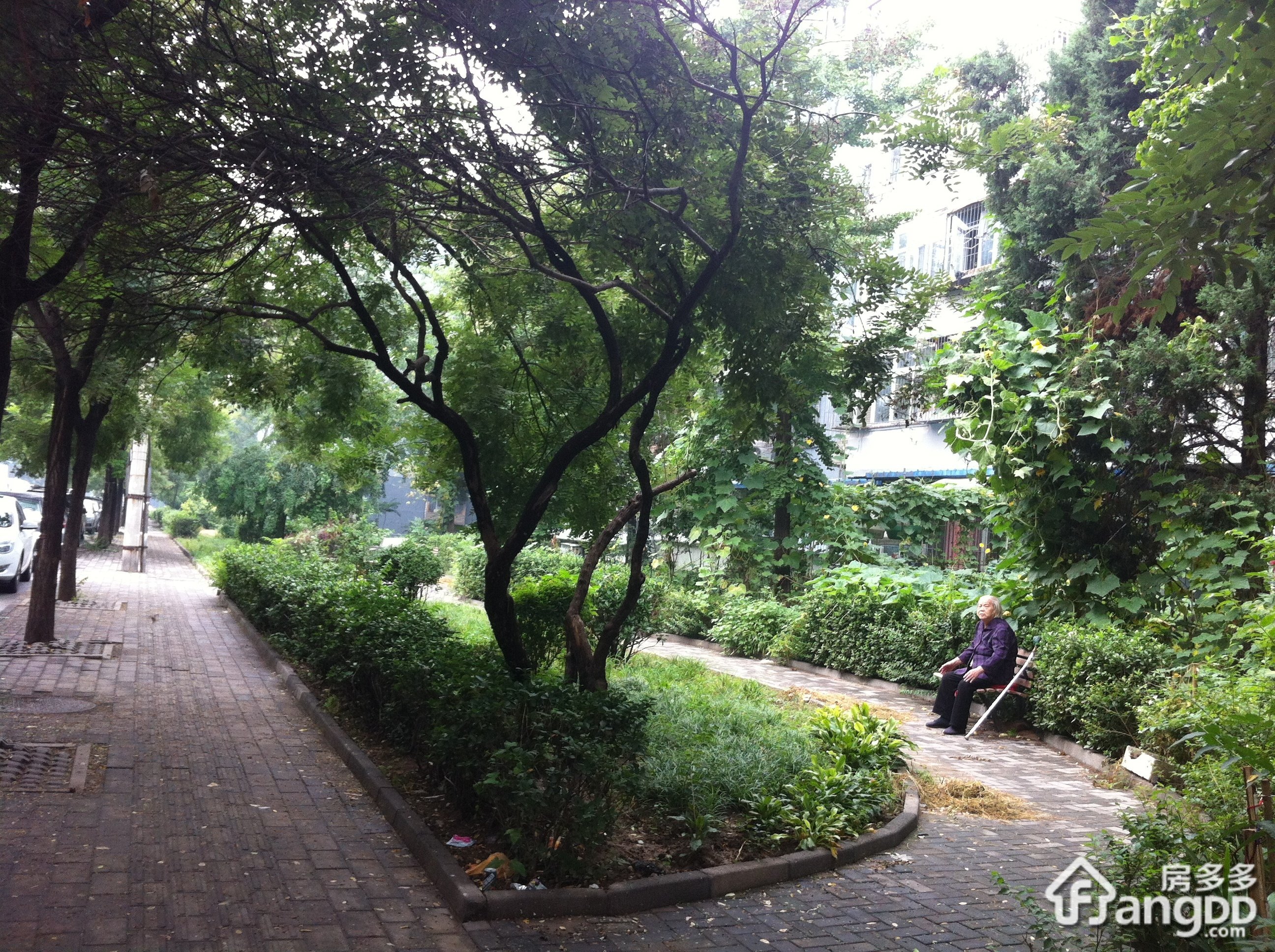 安贞西里一区小区图片