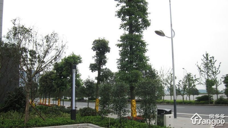 泽科港城国际小区图片