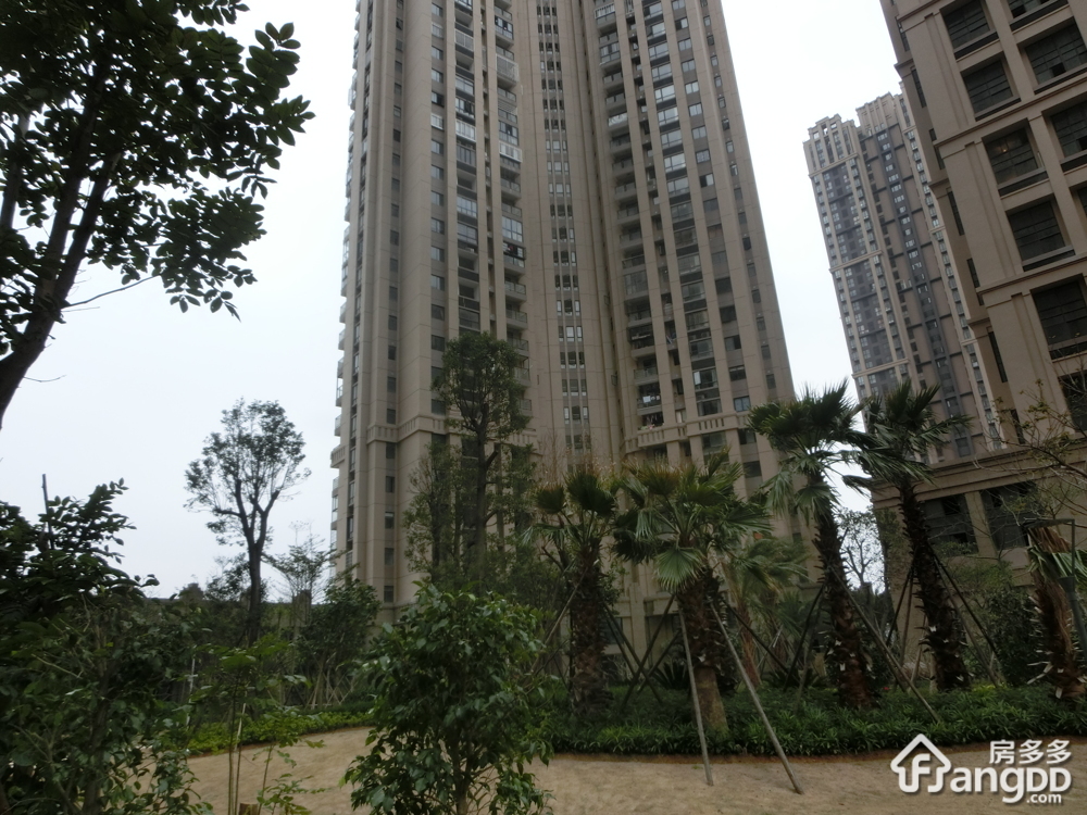 禹洲中央海岸一期小区图片