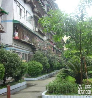 新港公寓小区图片