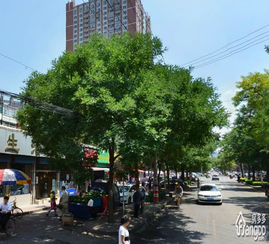 铁路宿舍小区图片